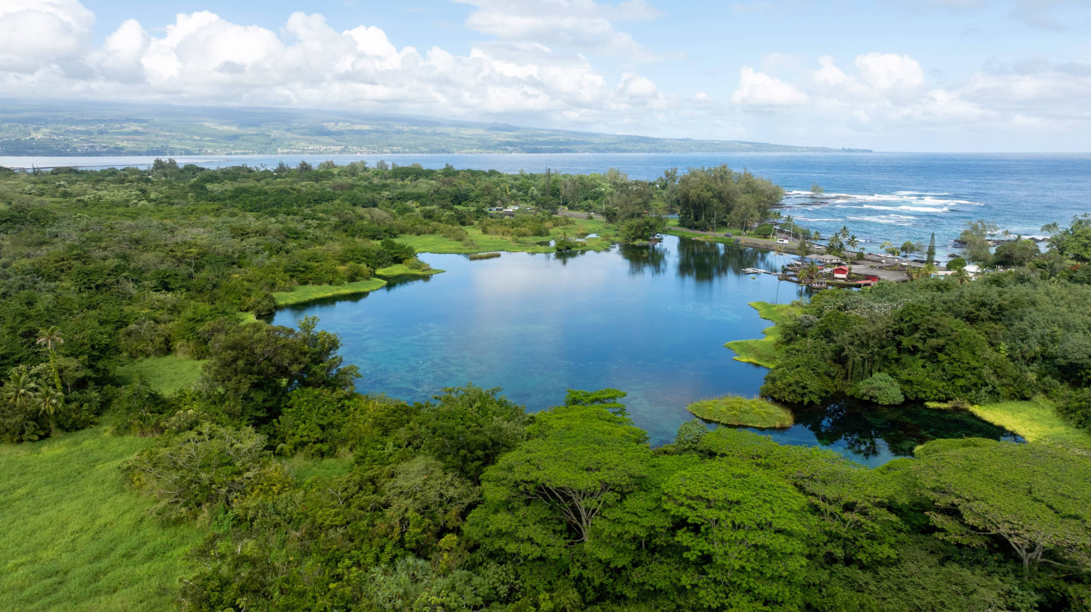 Coastal Wetland and Estuary Restoration in Hilo