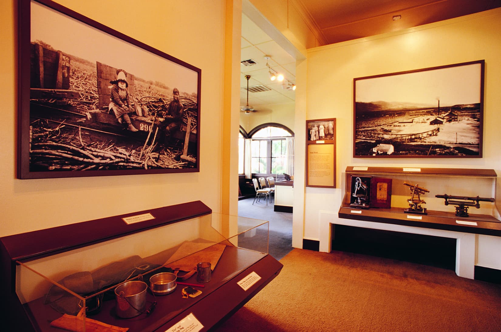 FIELD_ROOM_1764194063478.jpg