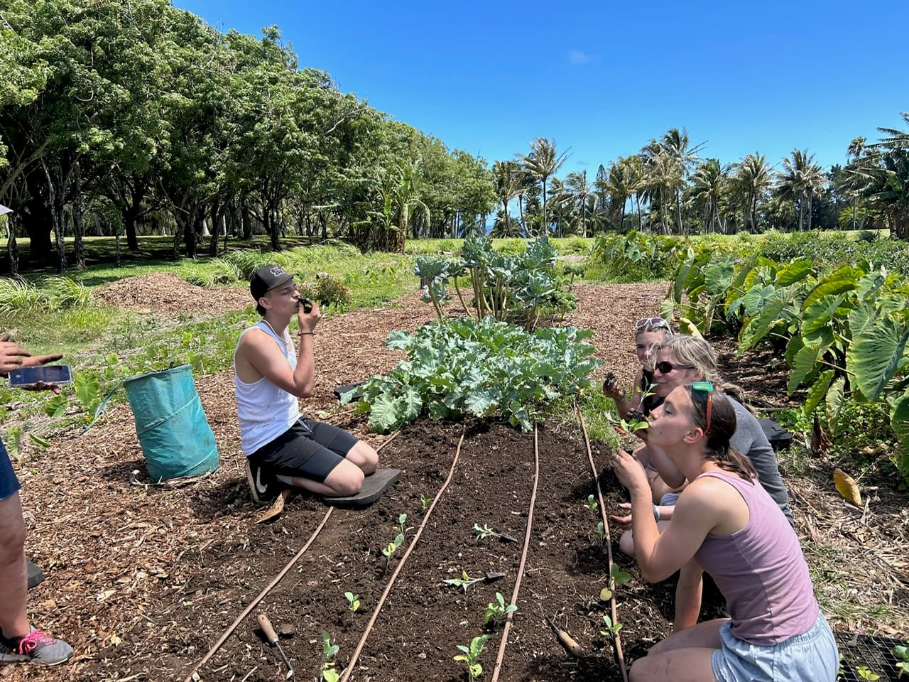 Volunteer at the CGC Community Garden on Thursday morning