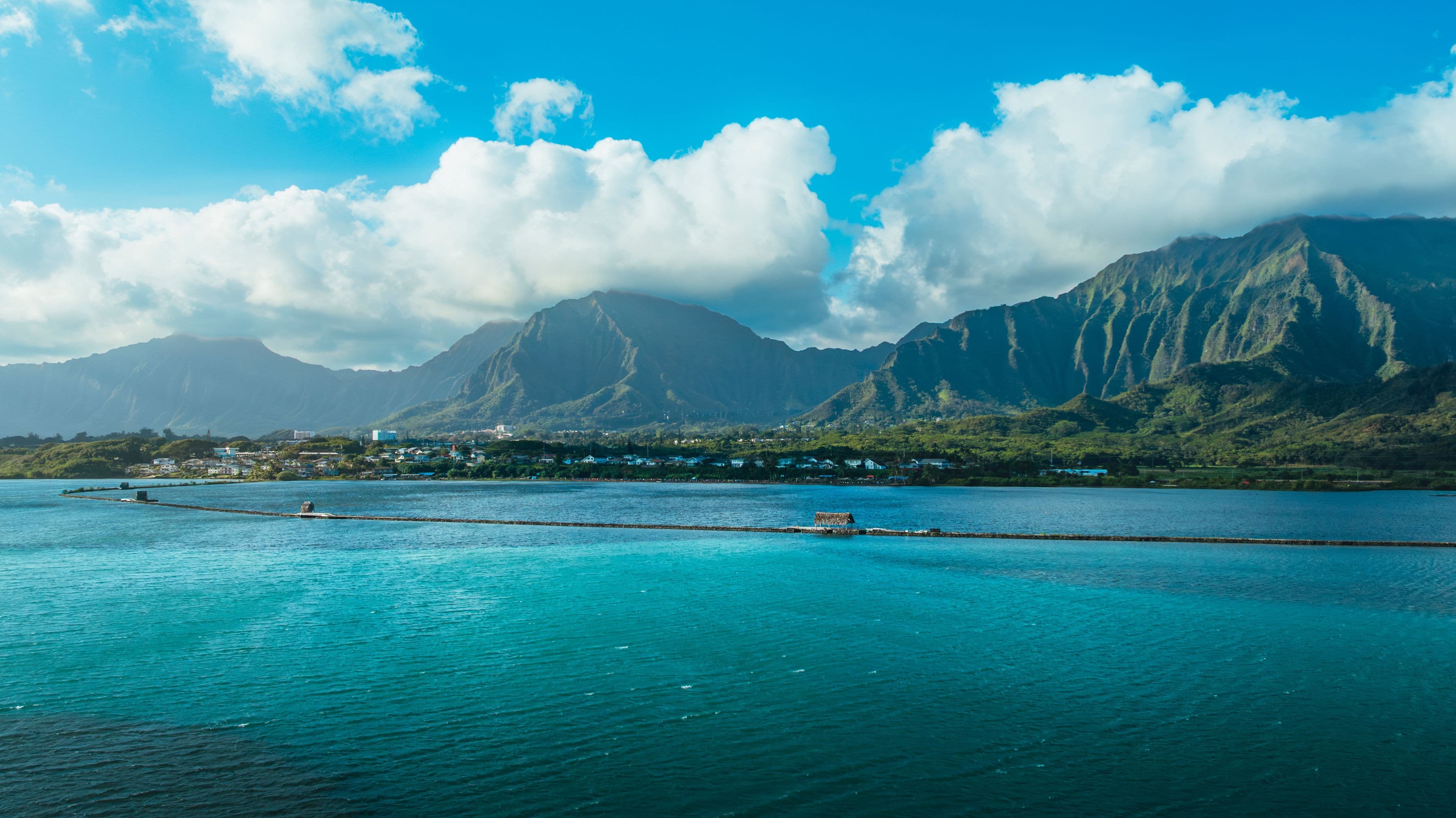 DJI_20251213084623_0289_D_1769038116209.jpg