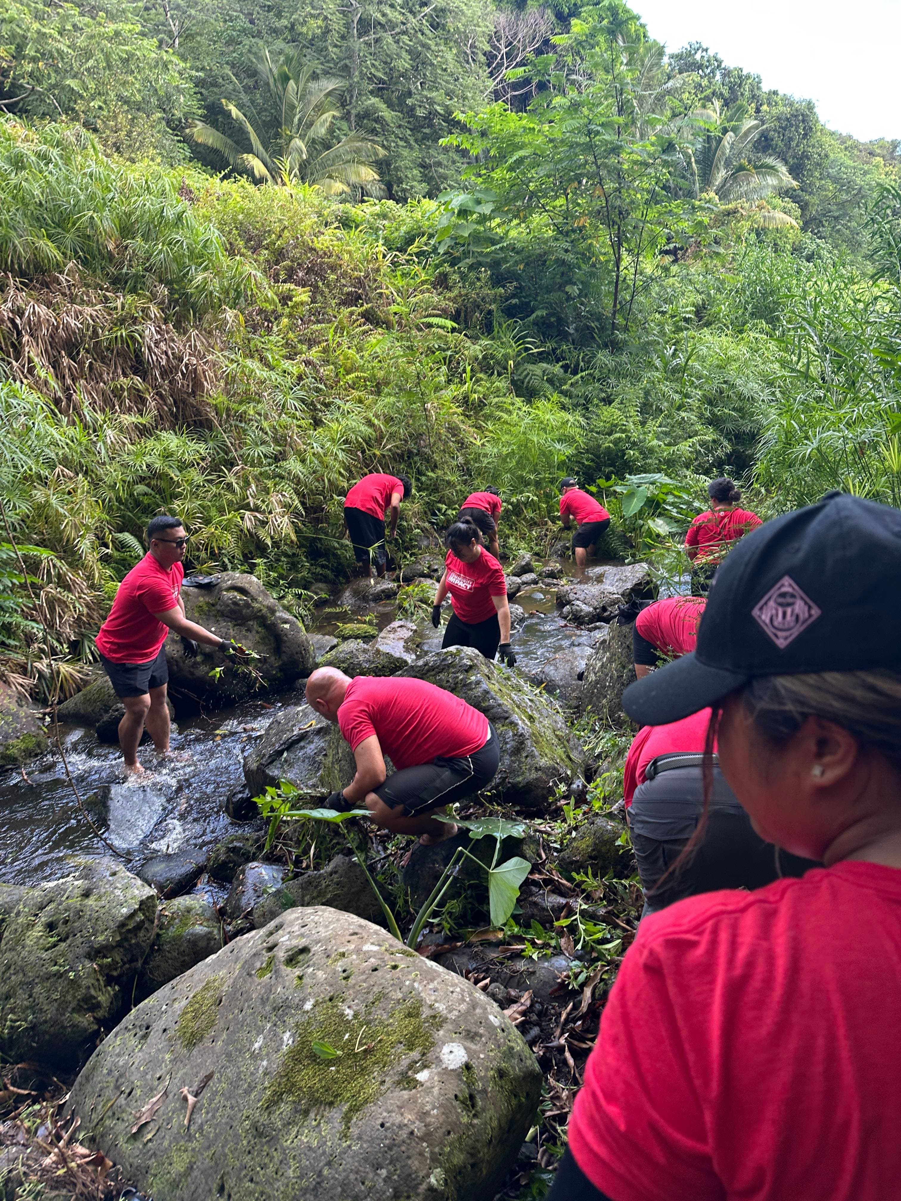 Stream Restoration Community Workday