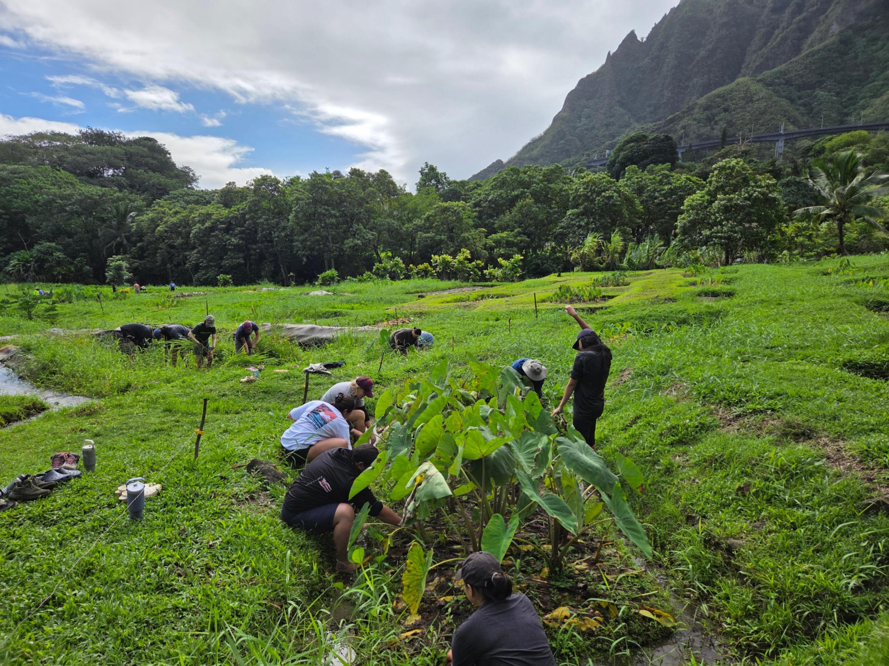 Lā ʻOhana Community Workday