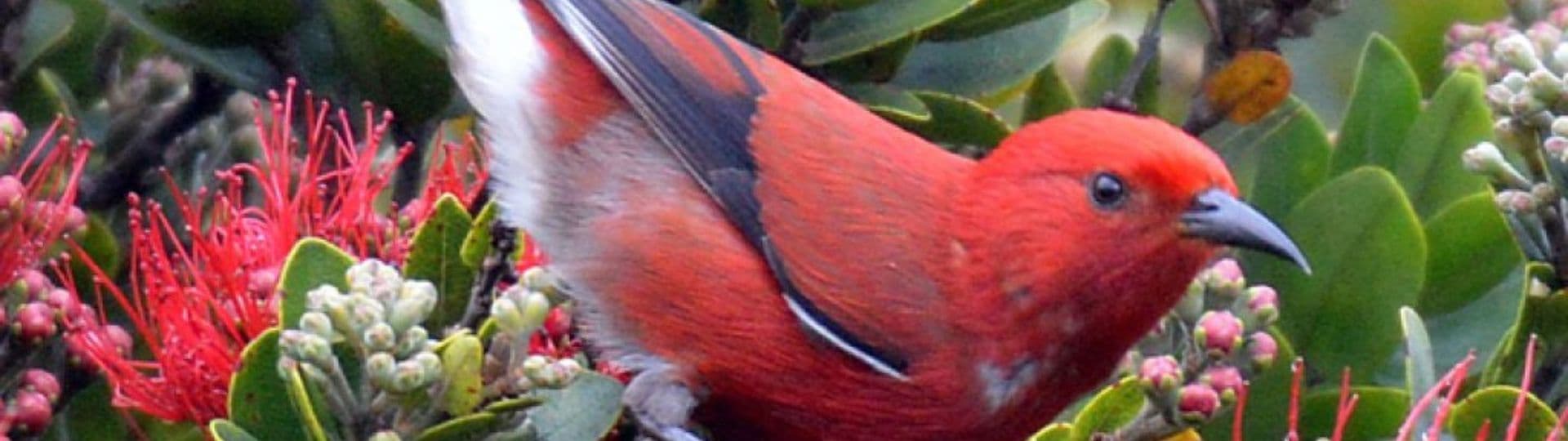 Coral reef representing collaboration