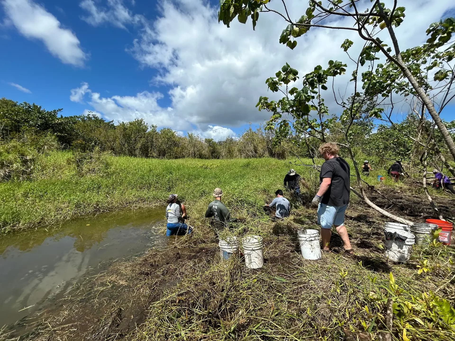 Volunteers cleaning litter from a waterway