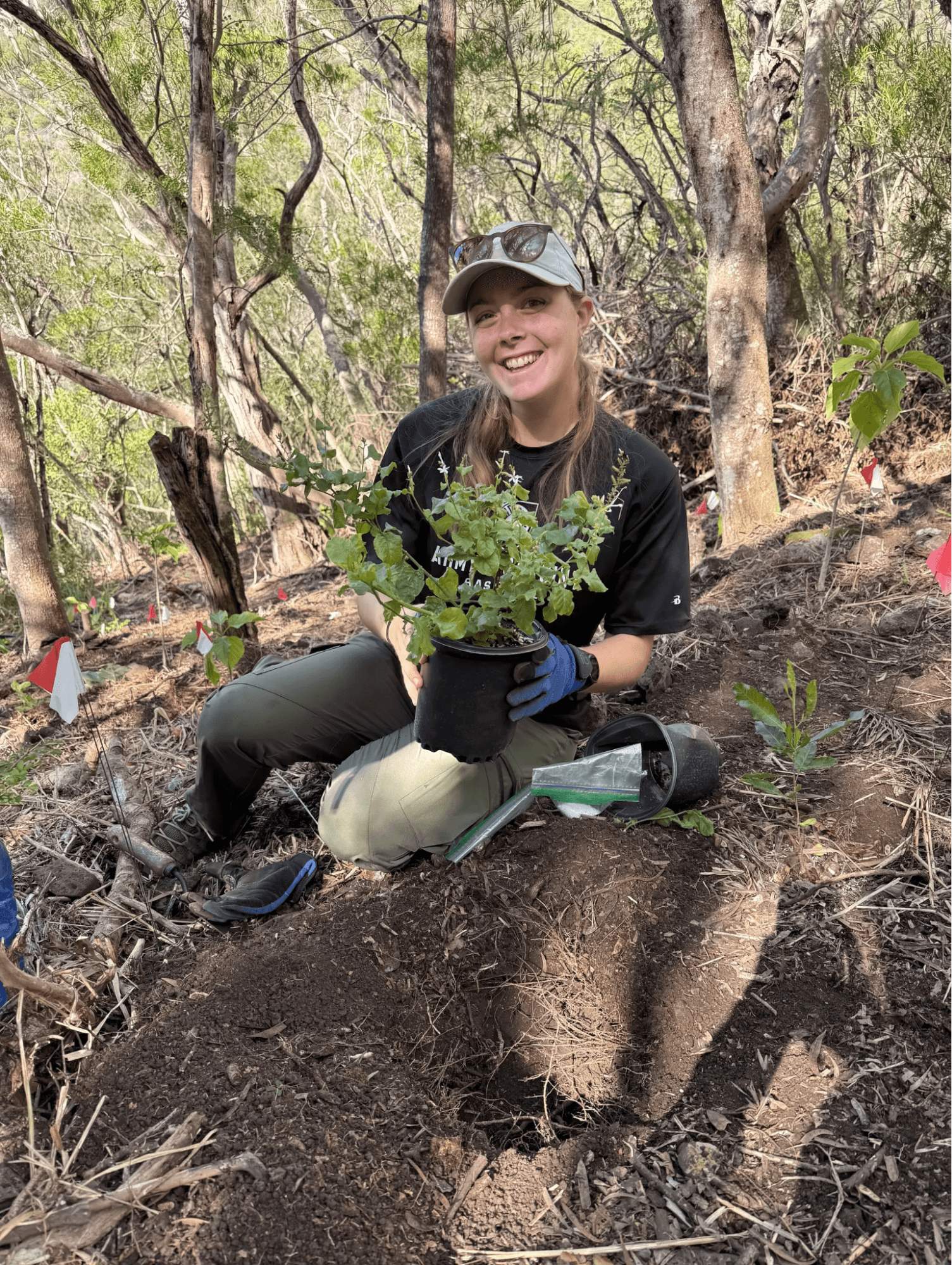 Volunteer holding plant
