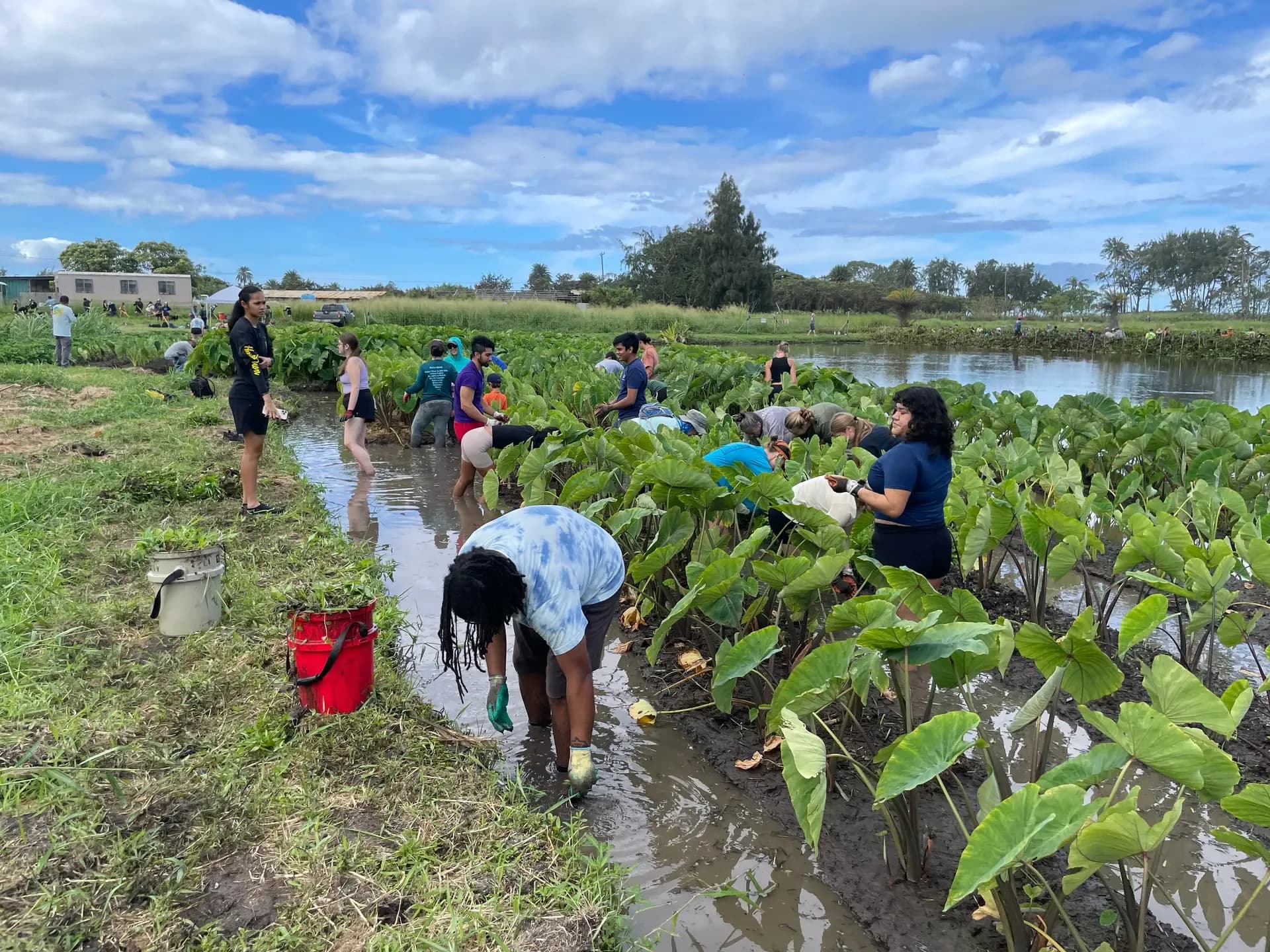 Volunteers collaborating during an outdoor service project