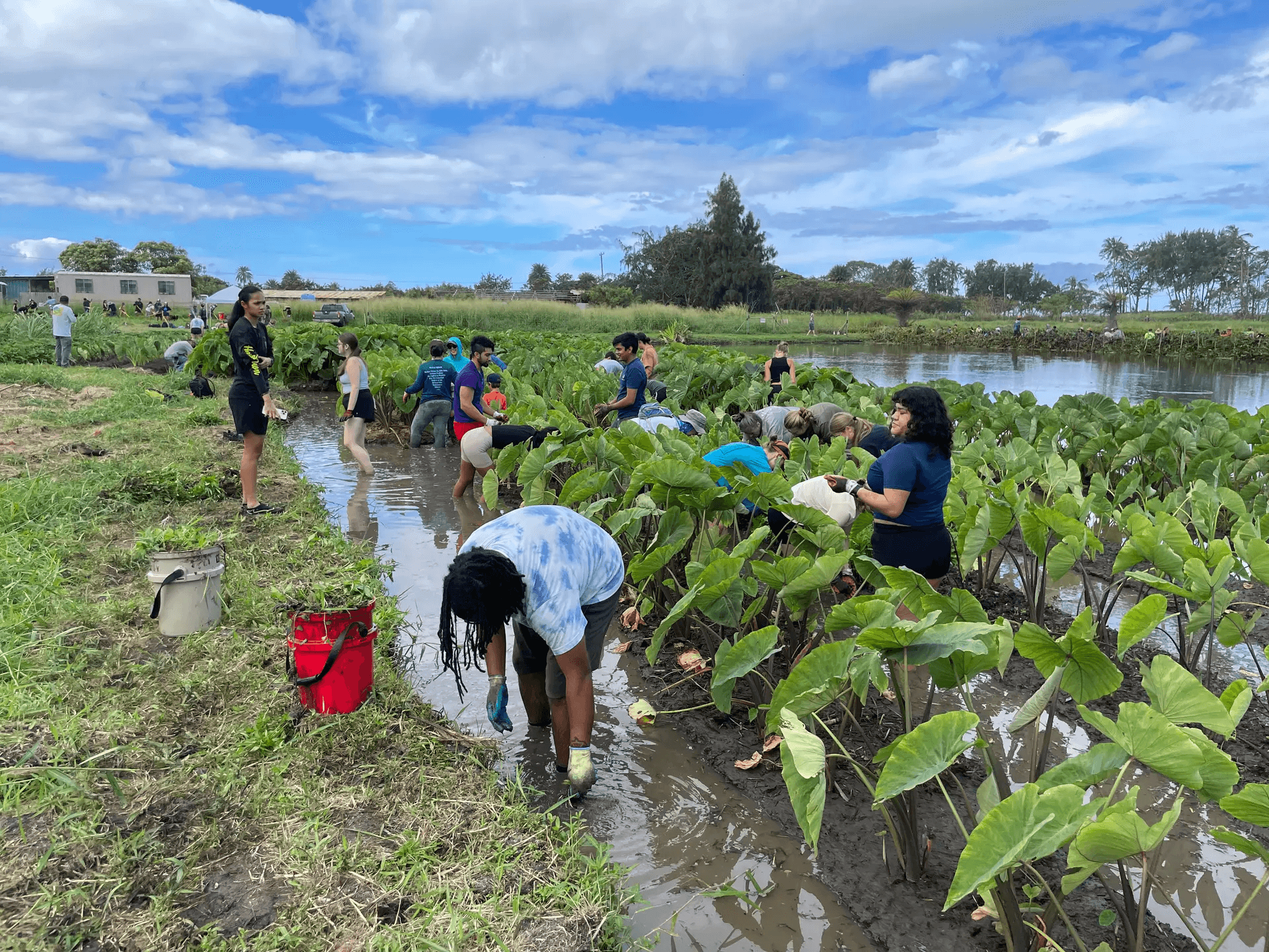 Volunteer orientation and signup