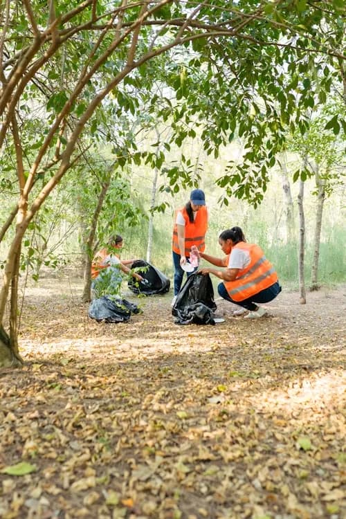 Three volunteers in orange safety vests picking up litter in a forest