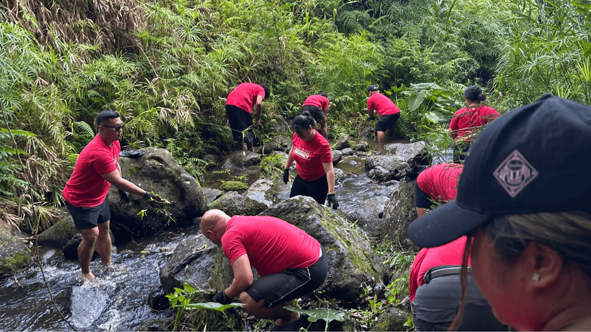 Volunteers in orange vests cleaning up a forest area