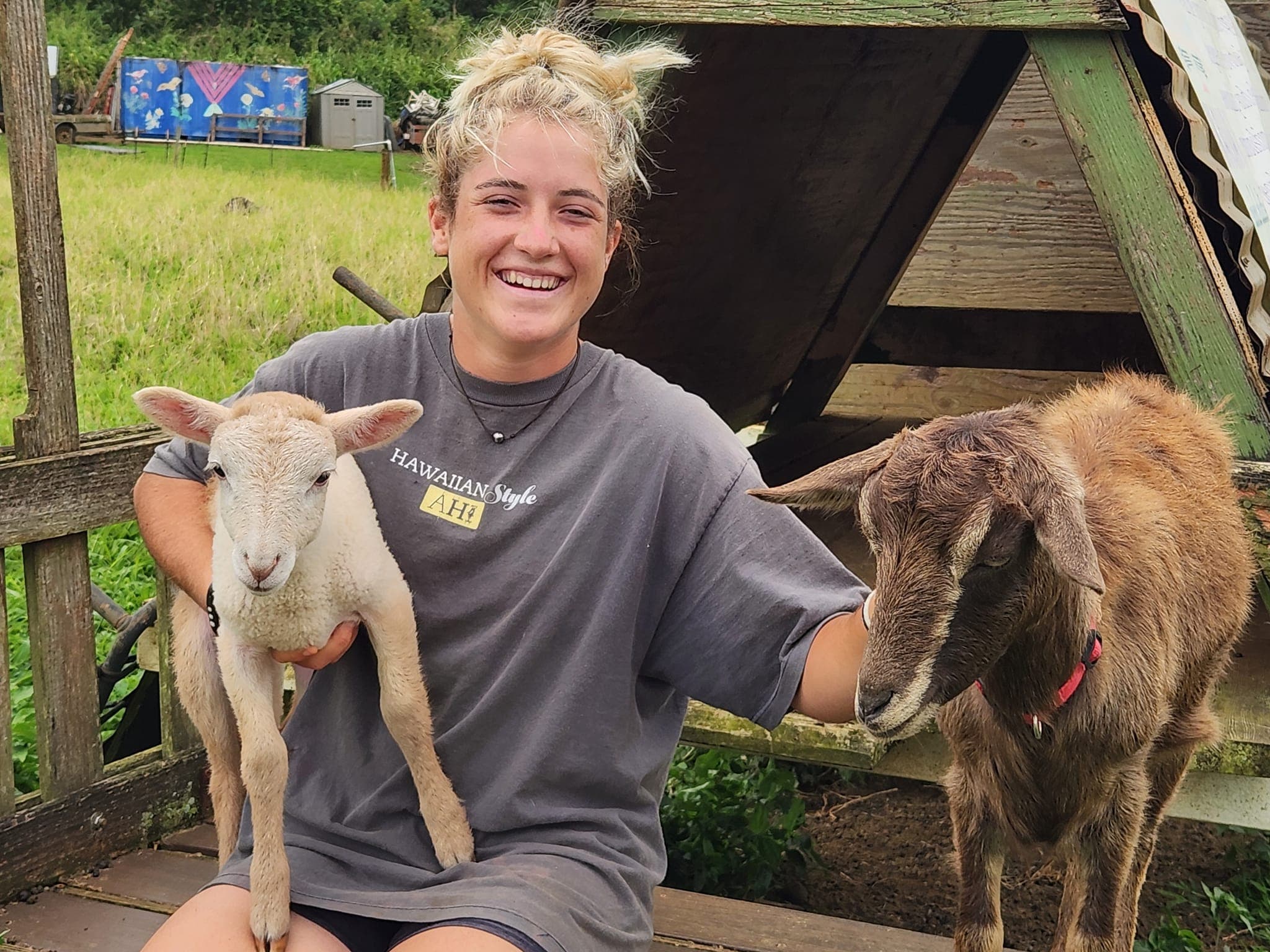 Hoof Caregiver (on-site)