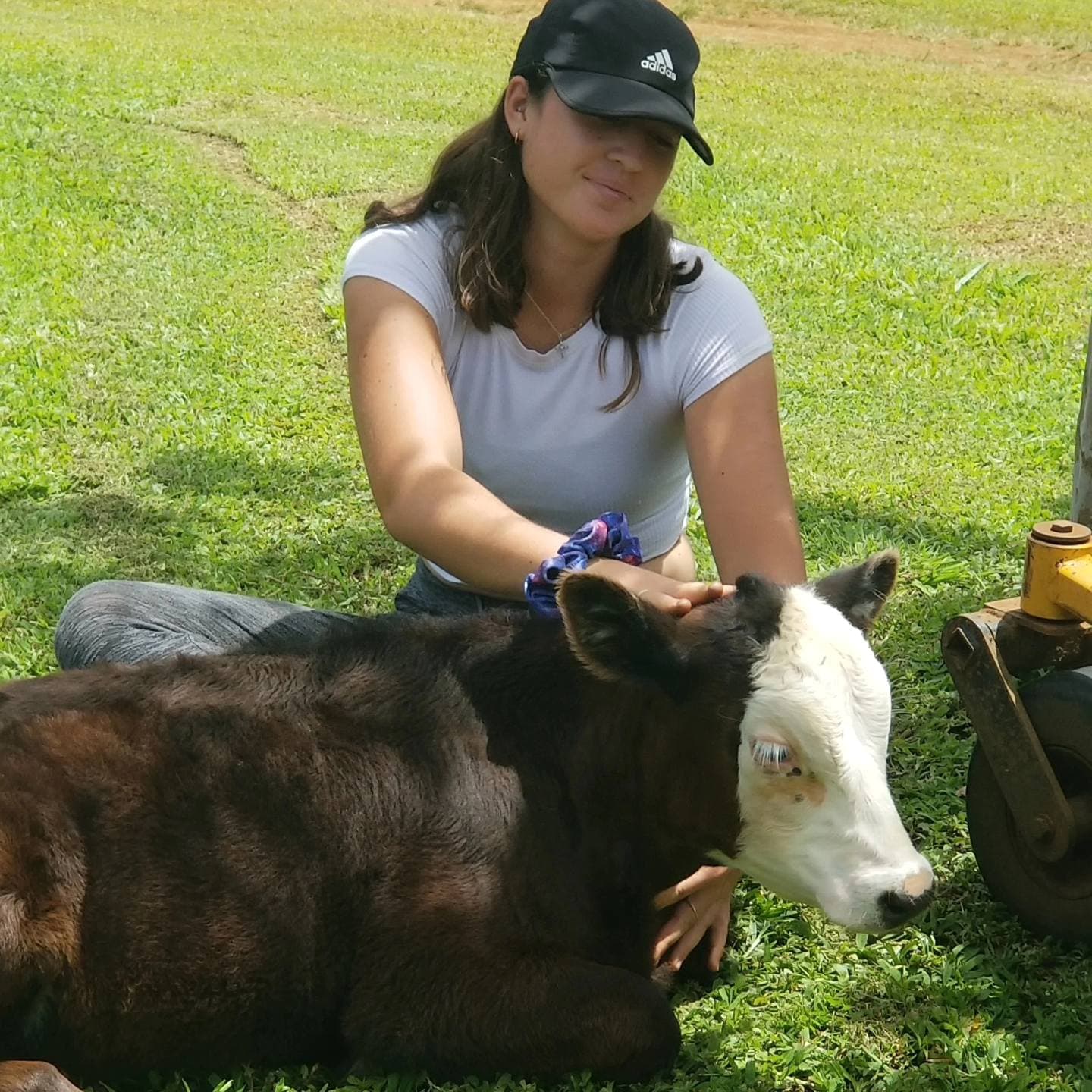 Animal Rescue/Adoption Program Manager (virtual and on-site)