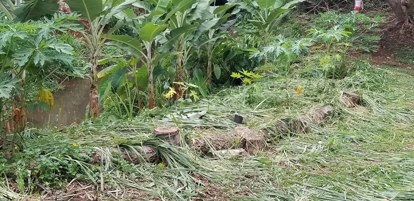 Gardening (on-site)