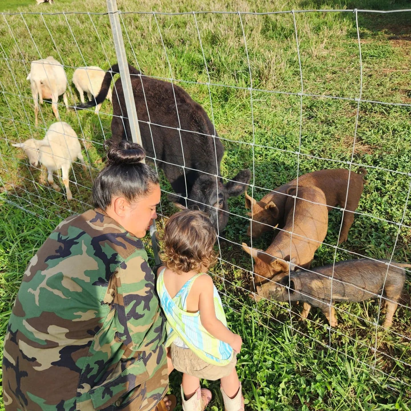 Animal Interaction Tour Guide (on-site)