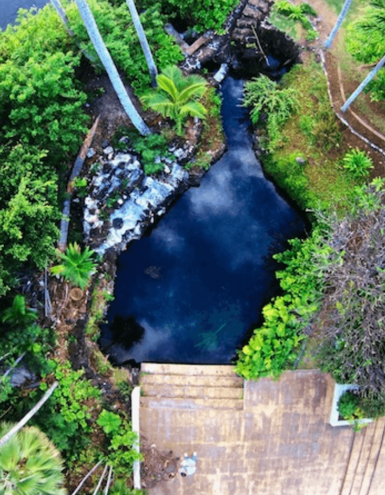 Work Day at Kānewai Fishpond