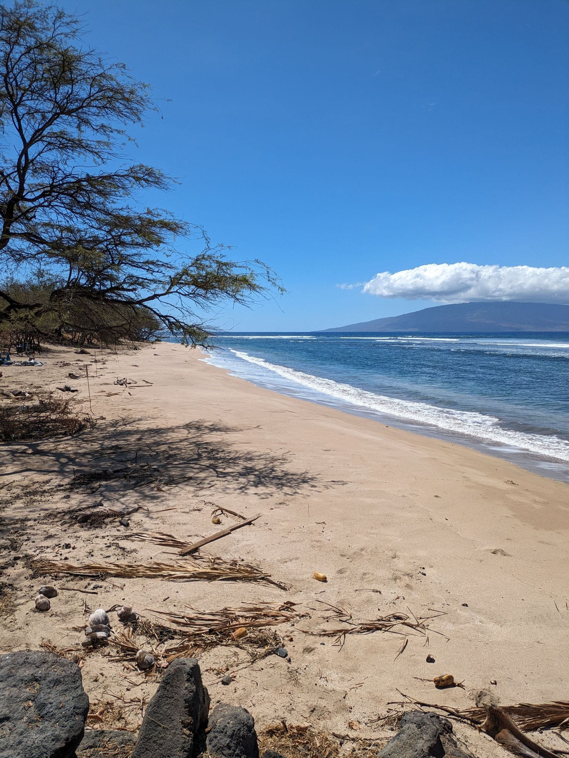 Lahaina Baby Beach Cleanup - International Coastal Cleanup Day
