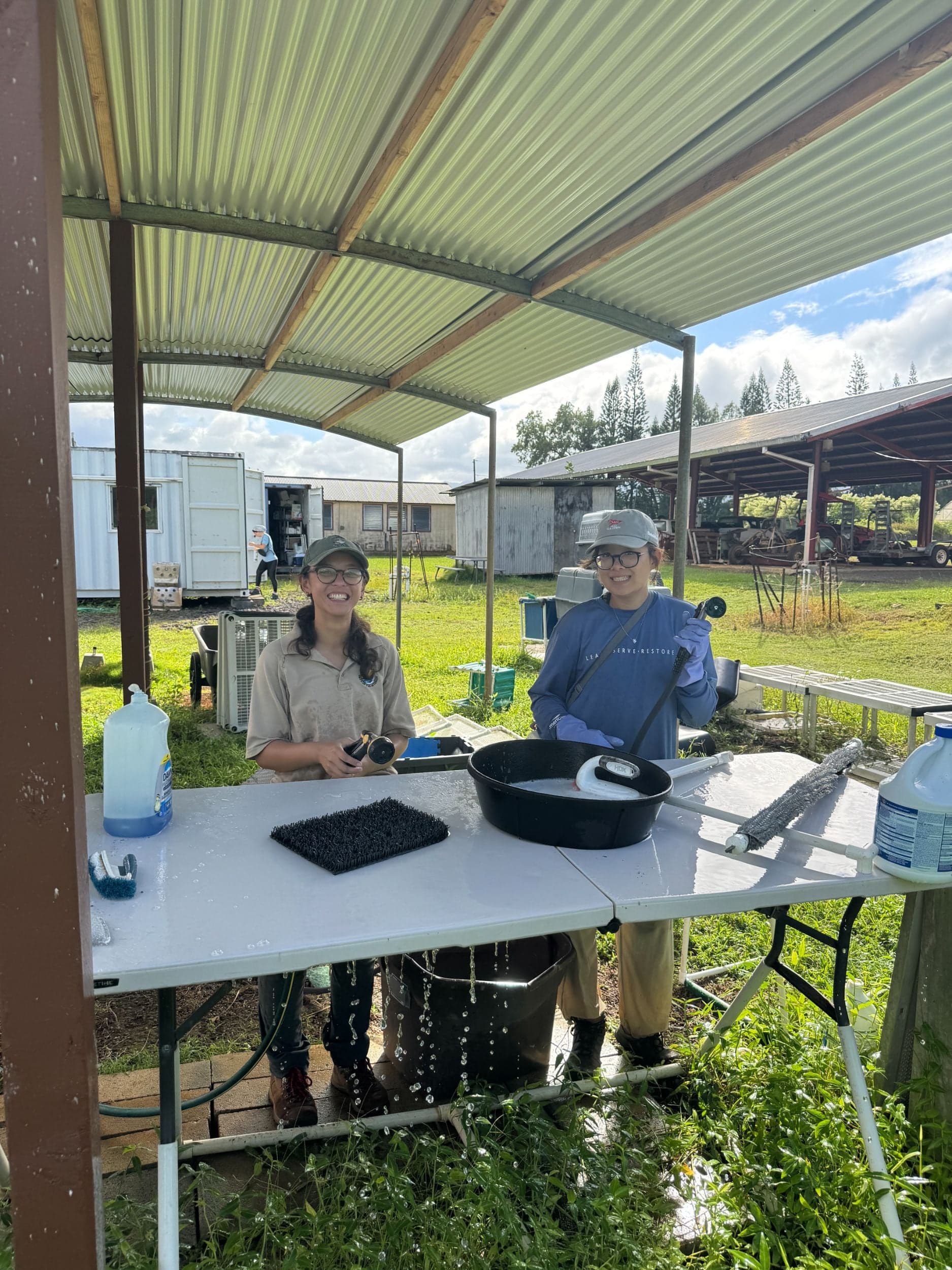 Cleaning Assistance for Native Bird Rehabilitation
