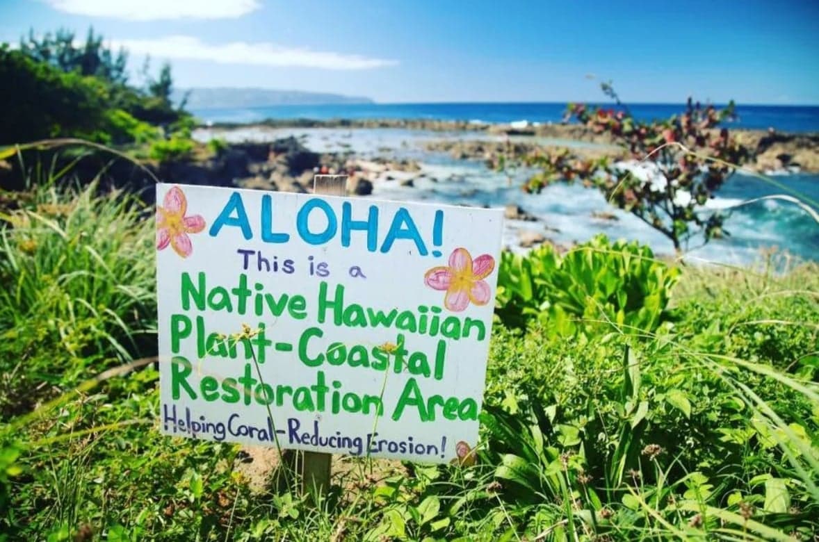 Native Hawaiian Plant Coastal Restoration Project