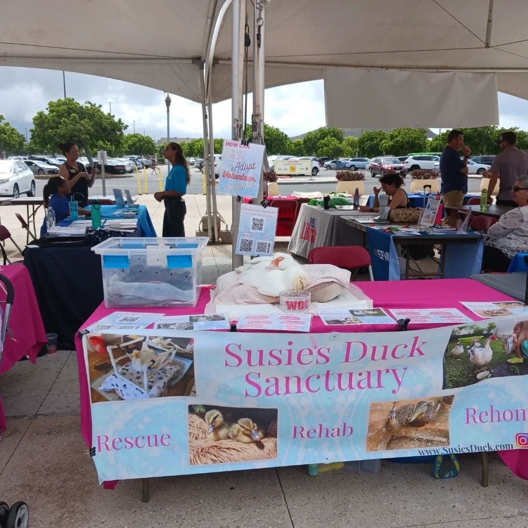 Honolulu Pride Festival