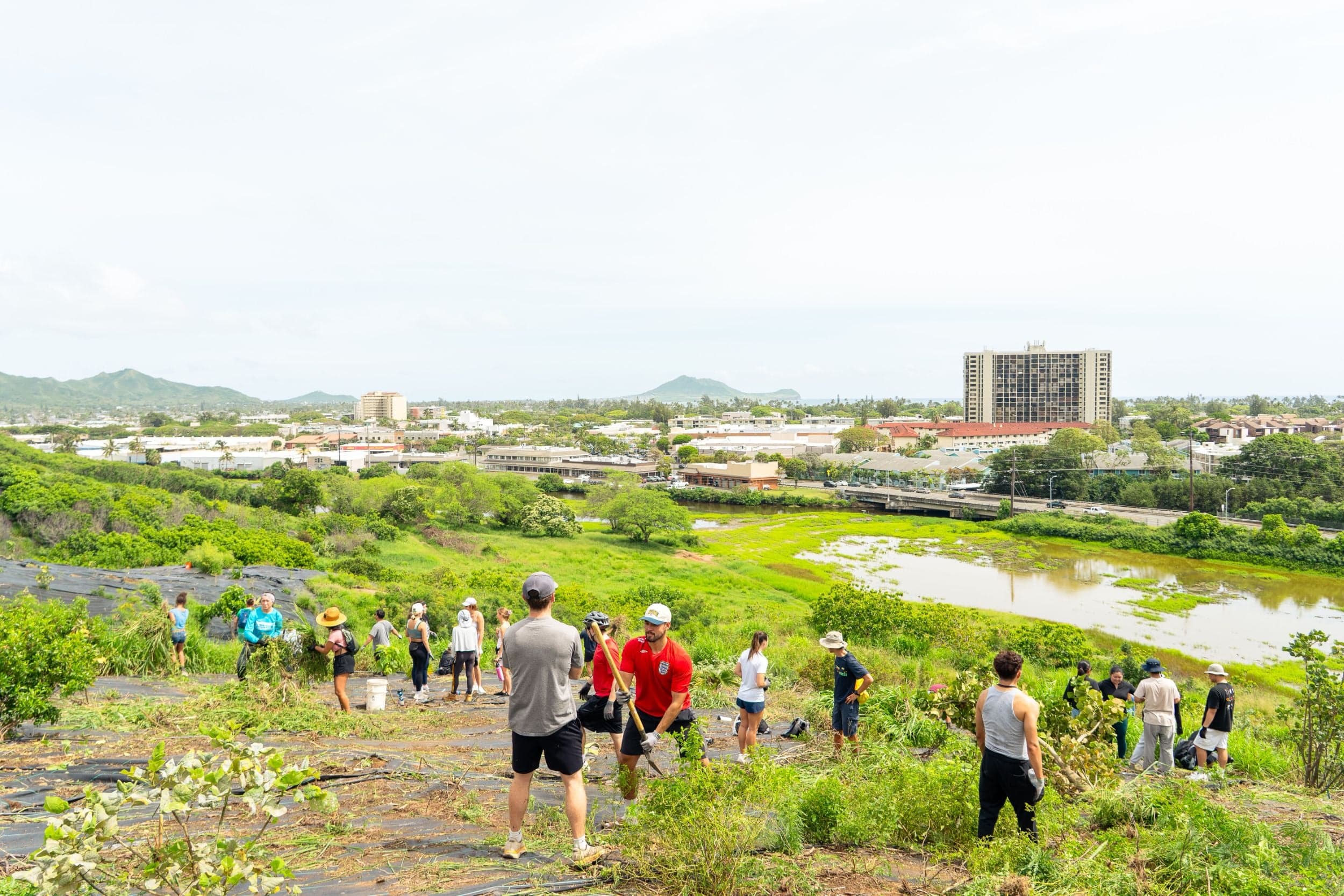 Mālama the Native Forest at Hāmākua Marsh