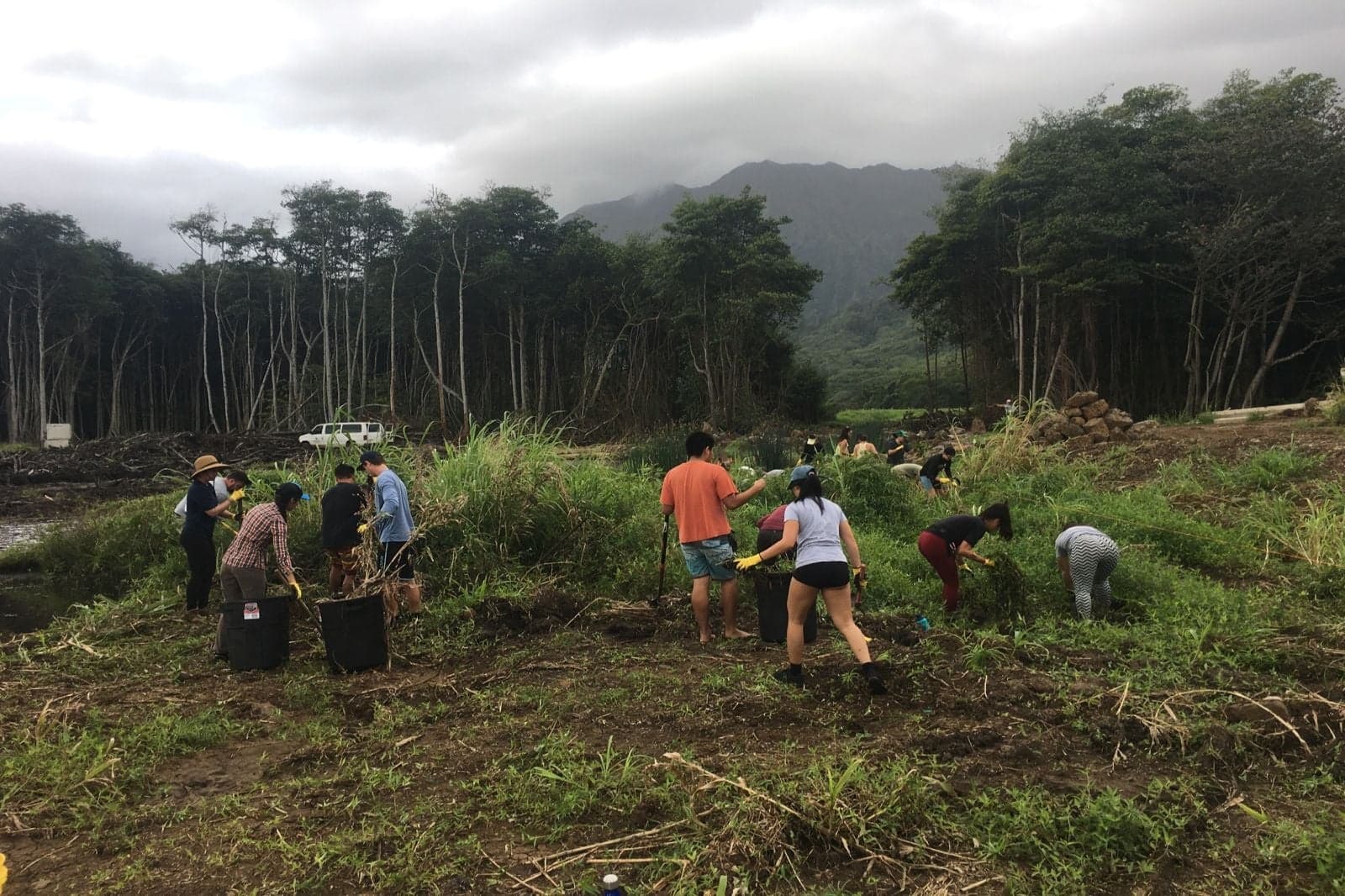 Conservation Workday