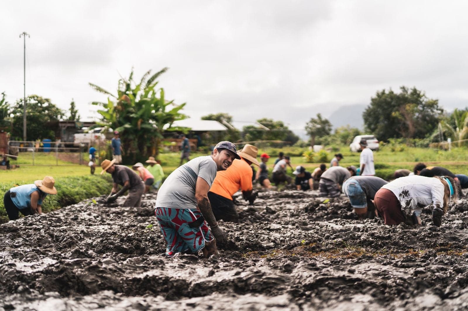 Farm/ Loʻi Day