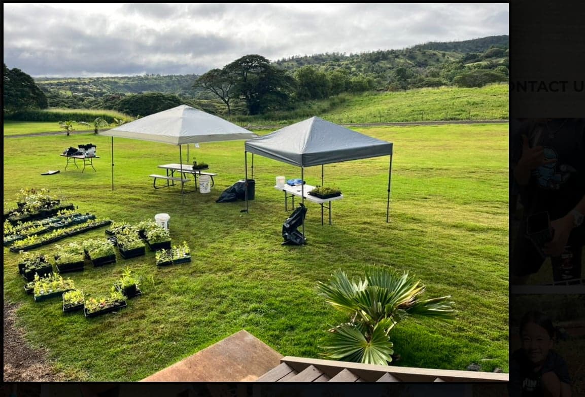 Native Reforestation Workday