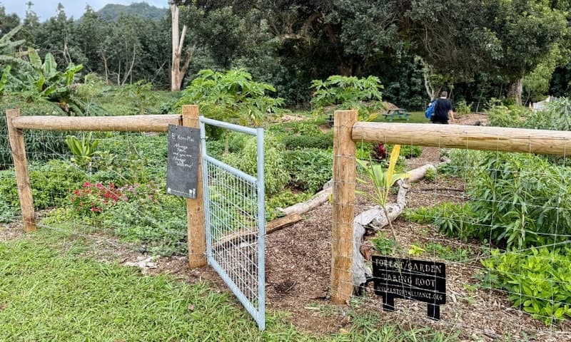 Māla Lāʻau Workday