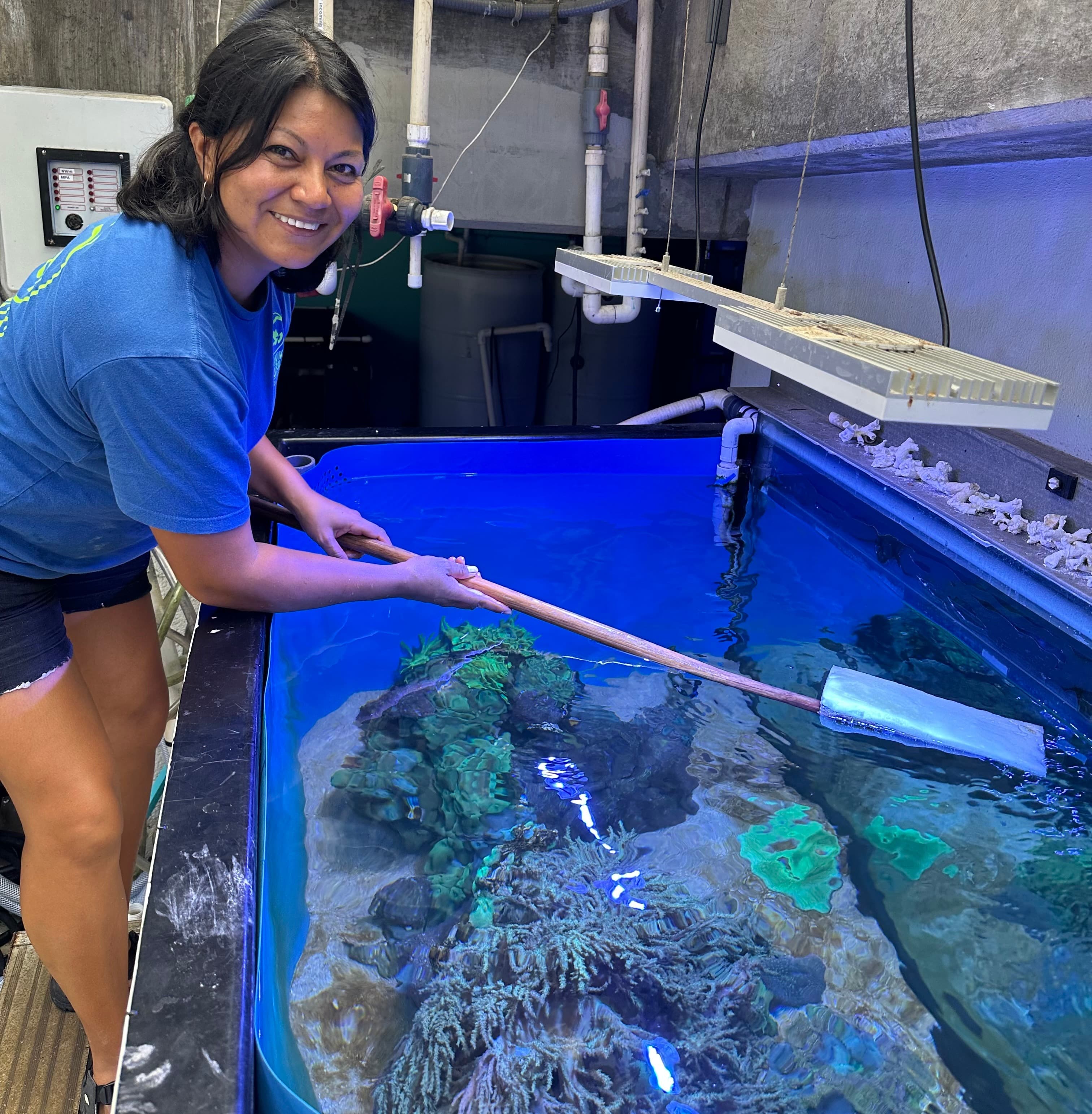 Aquarium Live Exhibits Aquarist Assistant Volunteer at the Waikīkī Aquarium