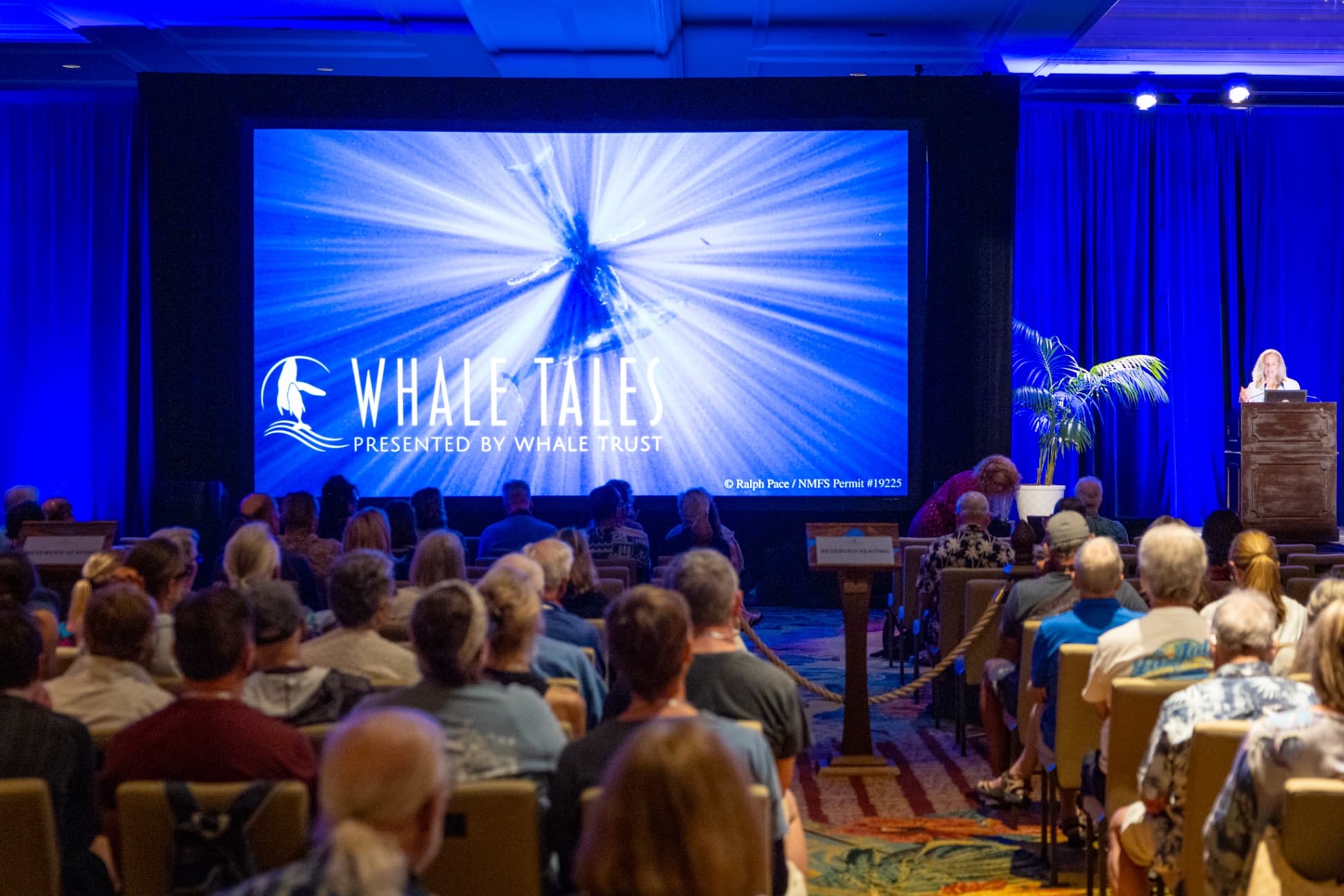 Whale Tales Committee Member