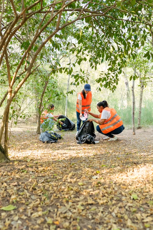 Top 10 Reasons to Volunteer